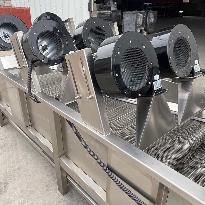 Fully Automatic Fruit And Vegetable Food Processing Drying Line With Tiltable Air Drying Machine