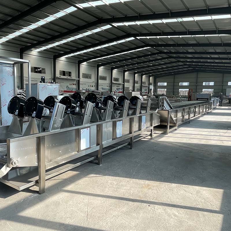 Fully Automatic Fruit And Vegetable Food Processing Drying Line With Tiltable Air Drying Machine