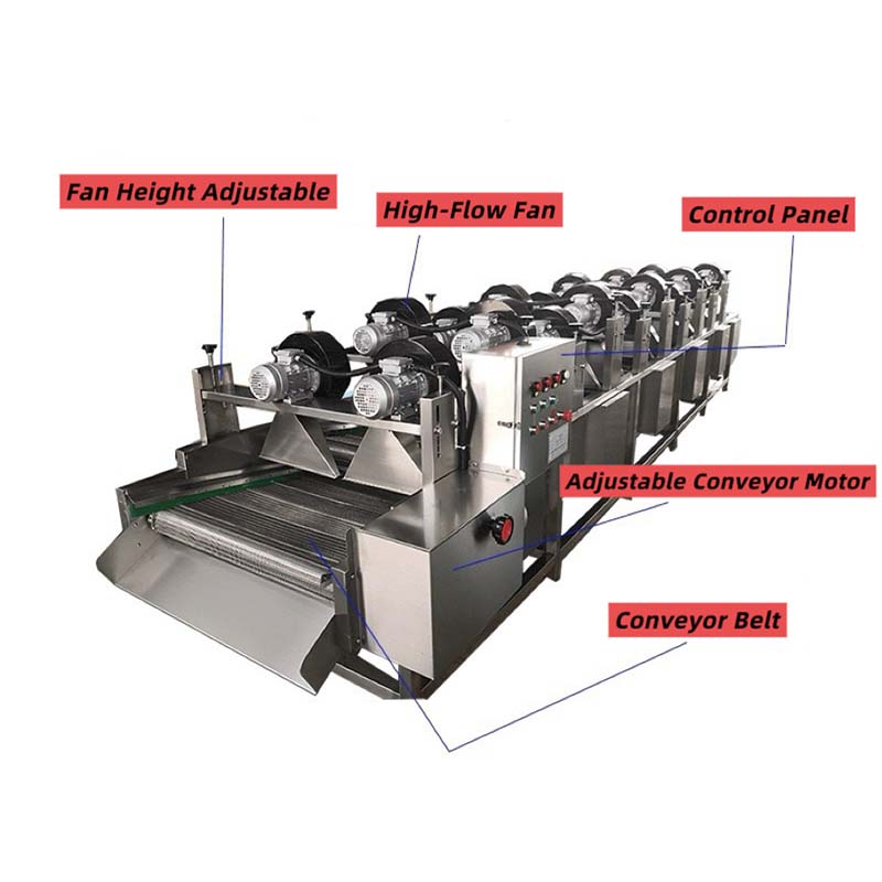 Fully Automatic Fruit And Vegetable Food Processing Drying Line With Tiltable Air Drying Machine