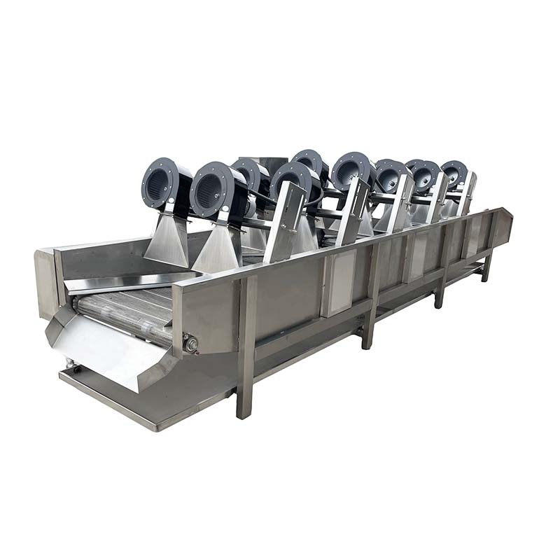 Fully Automatic Fruit And Vegetable Food Processing Drying Line With Tiltable Air Drying Machine