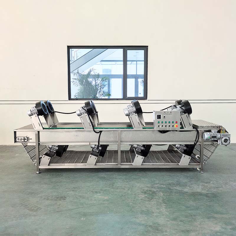 Fully Automatic Fruit And Vegetable Food Processing Drying Line With Tiltable Air Drying Machine