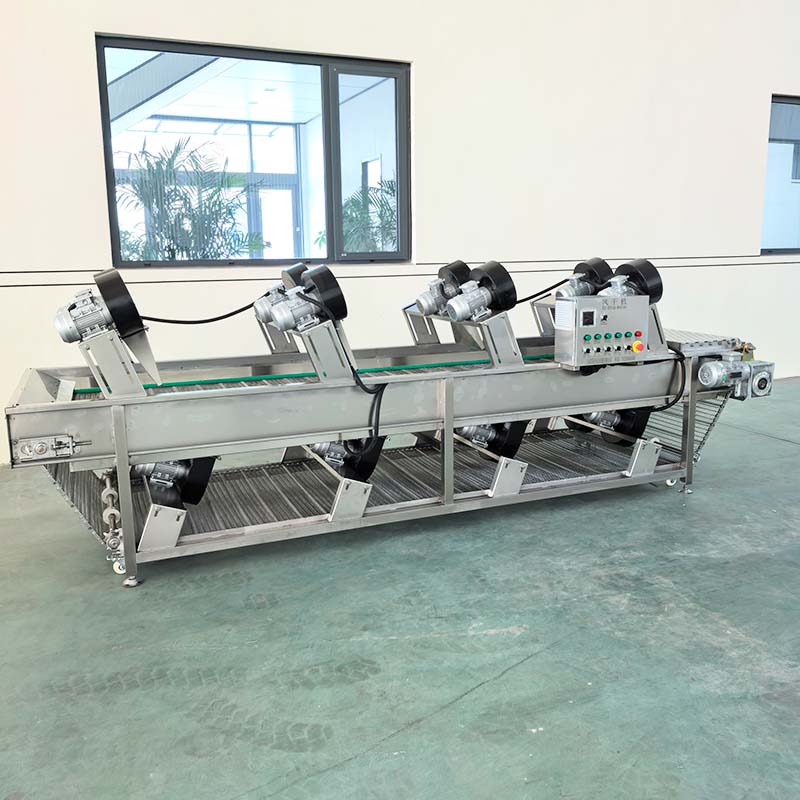 Fully Automatic Fruit And Vegetable Food Processing Drying Line With Tiltable Air Drying Machine