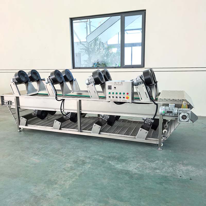 Fully Automatic Fruit And Vegetable Food Processing Drying Line With Tiltable Air Drying Machine