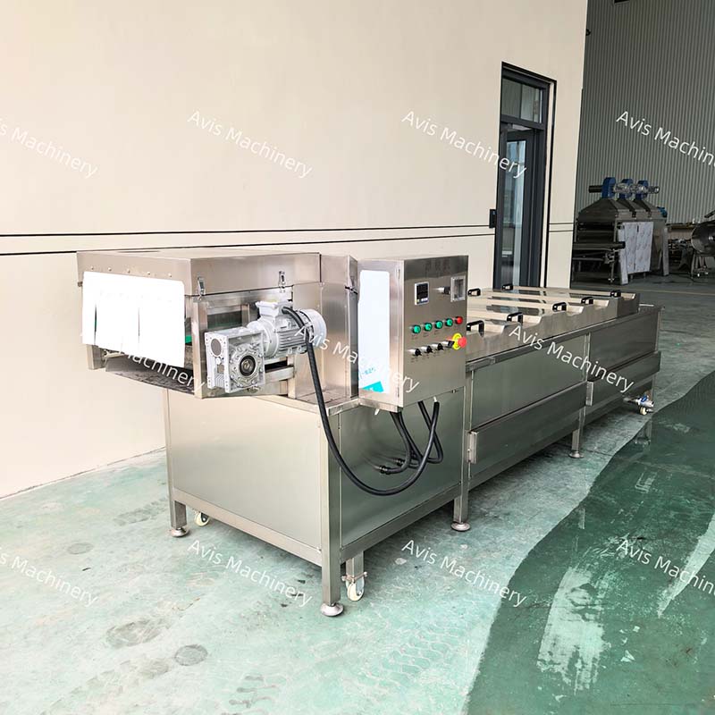 Vegetable Low-temperature Blanching Machine Potato and Onion Blanching Machine