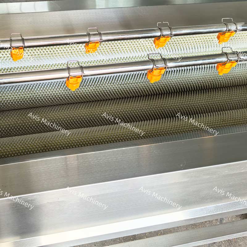 Fruit And Vegetable And Seafood Washing Machine Cassava And Sweet Potato Roller Brush Washing And Peeling Machine