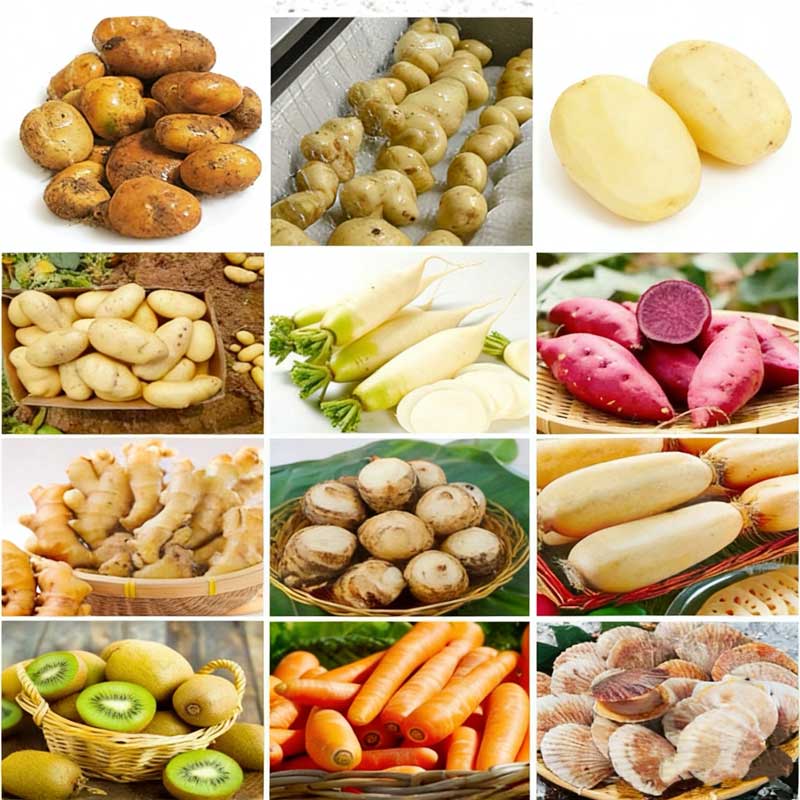 Fruit And Vegetable And Seafood Washing Machine Cassava And Sweet Potato Roller Brush Washing And Peeling Machine