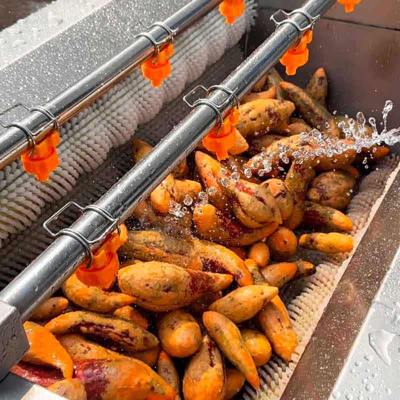 Fruit And Vegetable And Seafood Washing Machine Cassava And Sweet Potato Roller Brush Washing And Peeling Machine