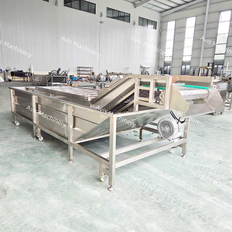 Fruit And Vegetable Bubble Washing Machine Industrial Cleaning Machine For Mushrooms Carrots Potatoes Apples And Strawberries