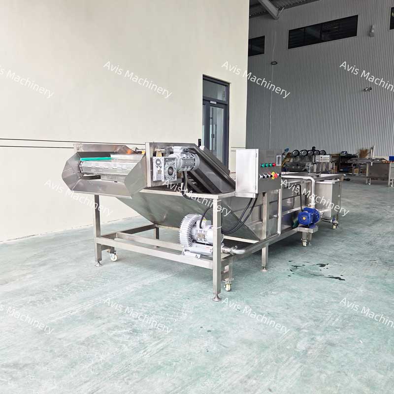 Fruit And Vegetable Bubble Washing Machine Industrial Cleaning Machine For Mushrooms Carrots Potatoes Apples And Strawberries