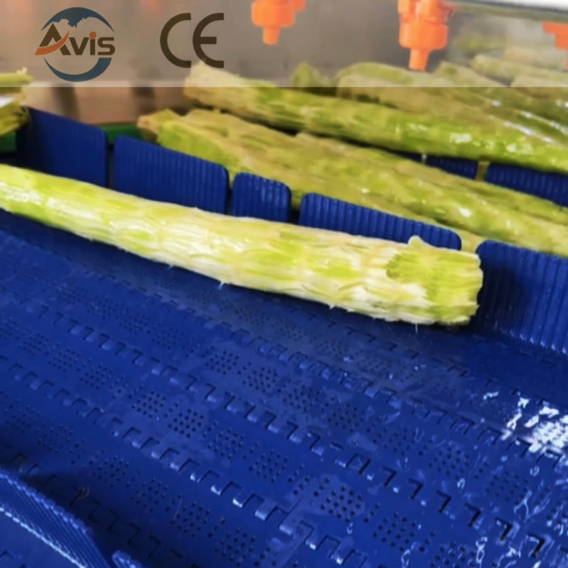 Fruit And Vegetable Bubble Washing Machine Industrial Cleaning Machine For Mushrooms Carrots Potatoes Apples And Strawberries