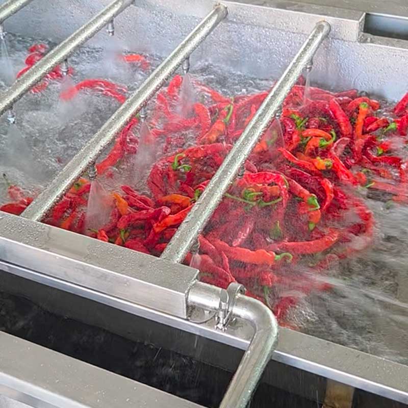 Fruit And Vegetable Bubble Washing Machine Industrial Cleaning Machine For Mushrooms Carrots Potatoes Apples And Strawberries