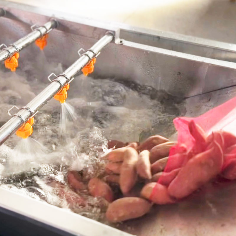 Fruit And Vegetable Bubble Washing Machine Industrial Cleaning Machine For Mushrooms Carrots Potatoes Apples And Strawberries