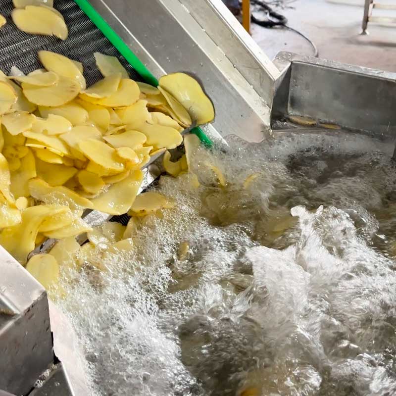 Fruit And Vegetable Bubble Washing Machine Industrial Cleaning Machine For Mushrooms Carrots  Potatoes Apples And Strawberries