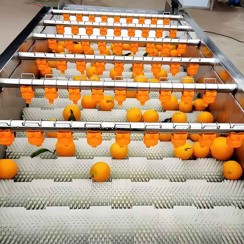 Parallel Roller Cleaning Machine For Potatoes Cassava Citrus Cherry Tomatoes Peppers Roots Fruits And Vegetables