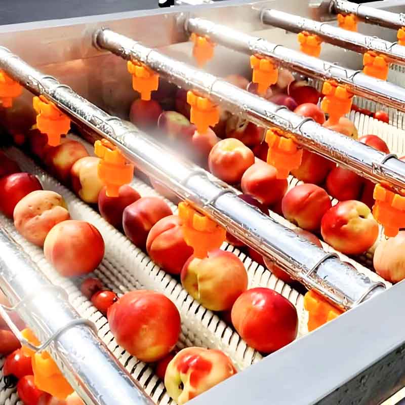 Parallel Roller Cleaning Machine For Potatoes Cassava Citrus Cherry Tomatoes Peppers Roots Fruits And Vegetables