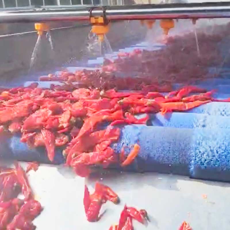 Parallel Roller Cleaning Machine For Potatoes Cassava Citrus Cherry Tomatoes Peppers Roots Fruits And Vegetables