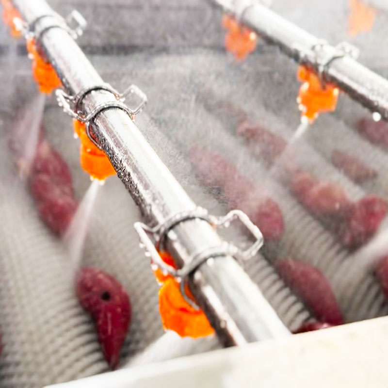 Parallel Roller Cleaning Machine For Potatoes Cassava Citrus Cherry Tomatoes Peppers Roots Fruits And Vegetables