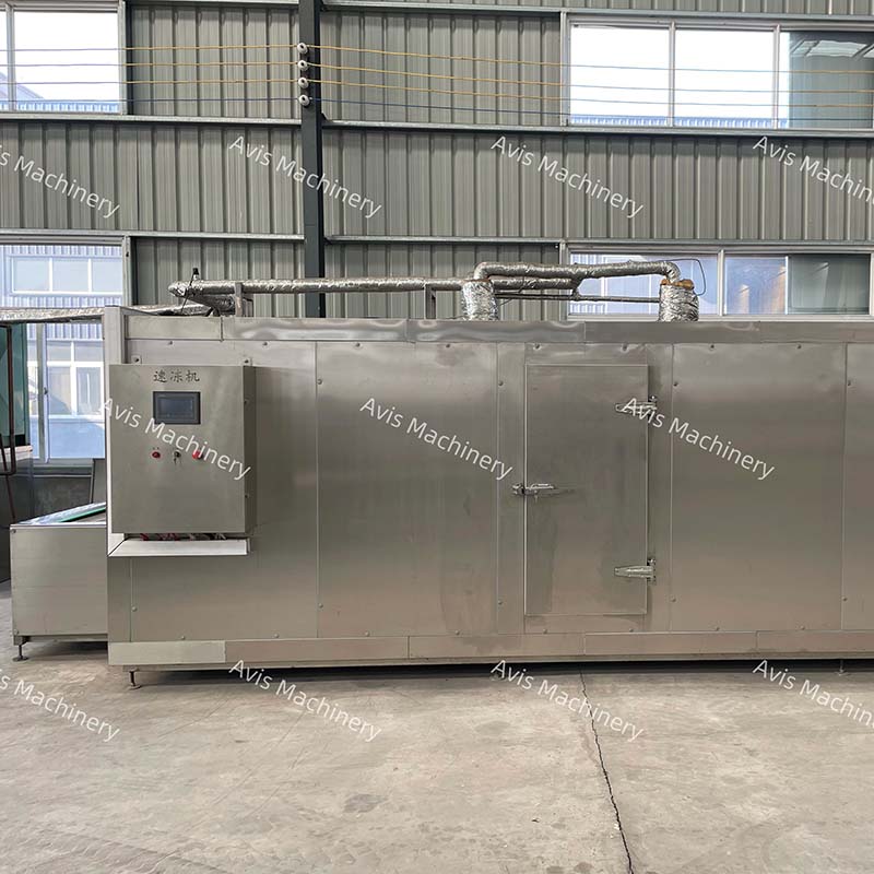Industrial Fruit and Vegetable Quick-Freezing Machine Tunnel-Type Seafood Freezing Machine