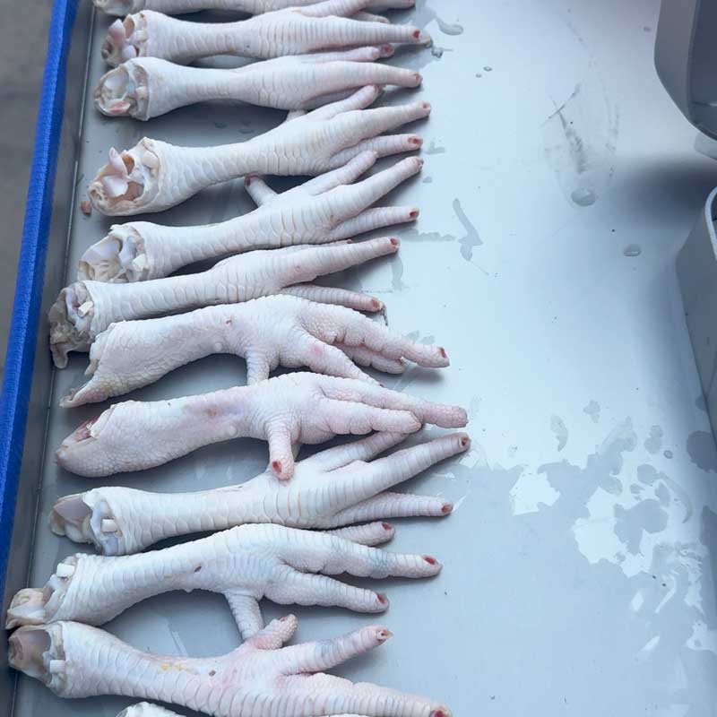 Chicken Feet Processing Machine Automatic Chicken Paw Production Line