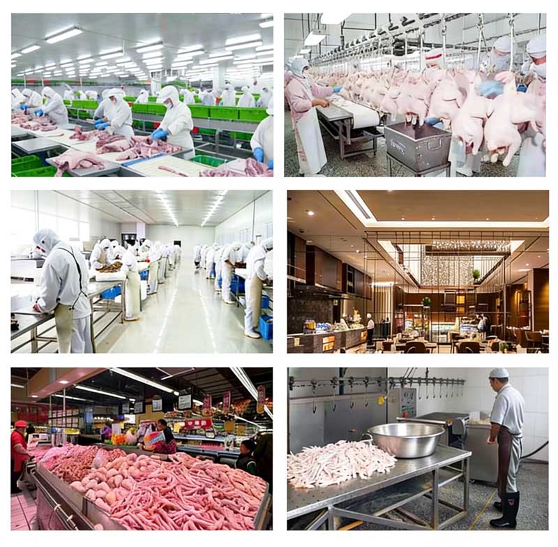 Chicken Feet Processing Machine Automatic Chicken Paw Production Line