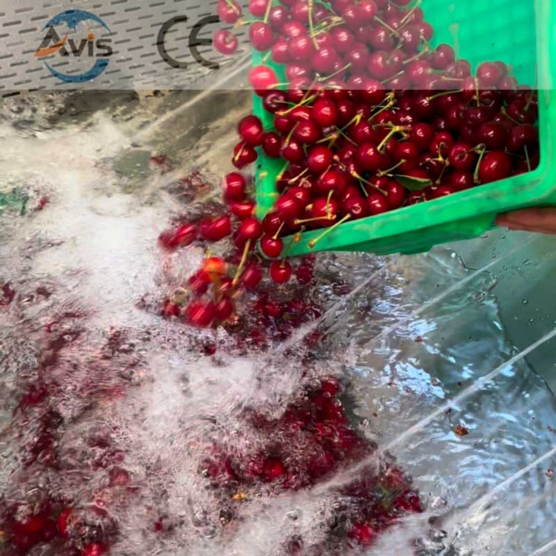 Potato Cassava Cleaning Machine And Stainless Steel Food Sorting Platform