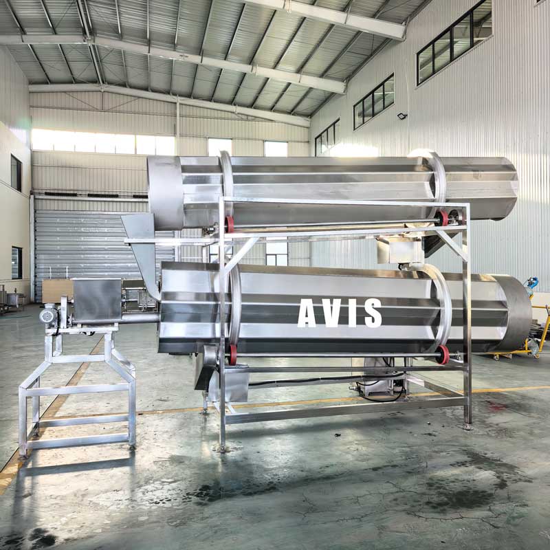 French Fries Potato Chips Nuts Beef Jerky Corn Chips Seasoning Machine