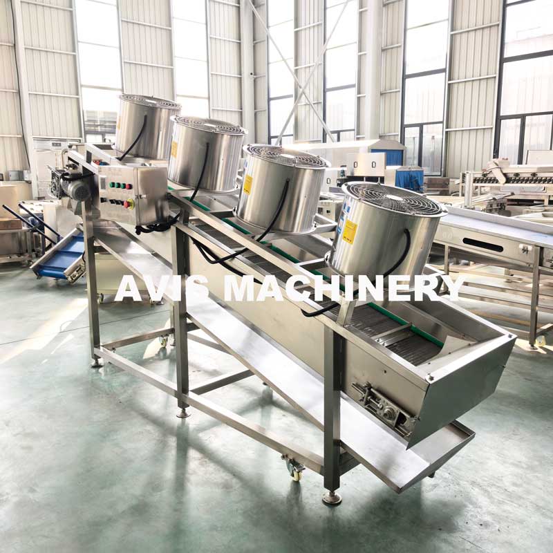 Banana Chip And Potato Chip Frying Production Line / Frying Machine