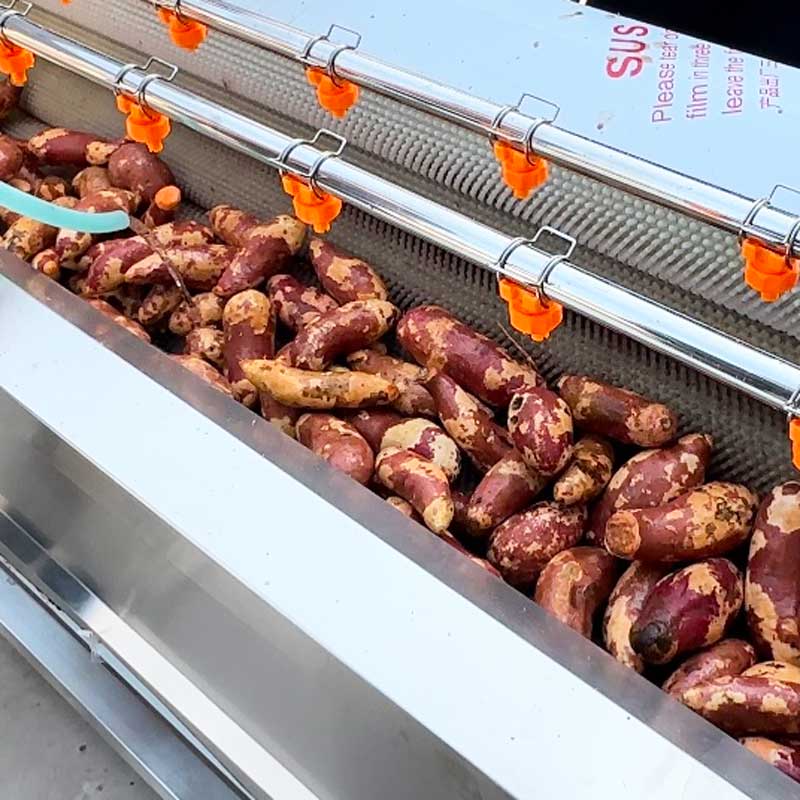 Potato Peeling Machine, Potato Brush Washer