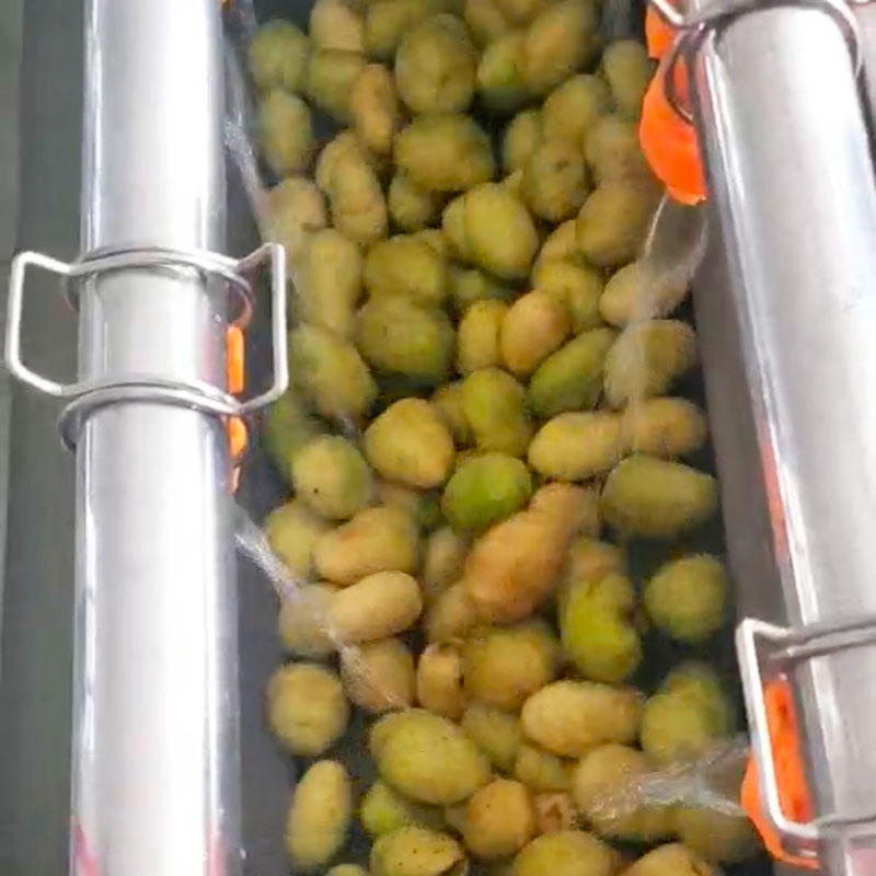 Potato Peeling Machine, Potato Brush Washer
