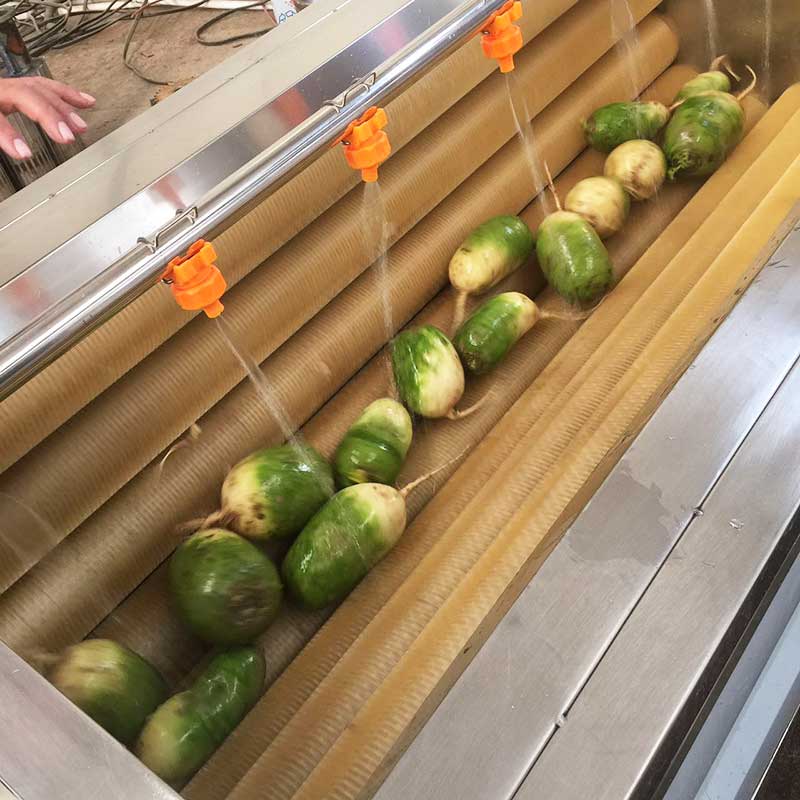 Potato Peeling Machine, Potato Brush Washer