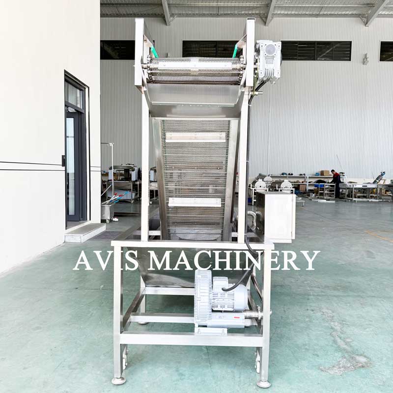 Fruit And Vegetable Bubble Cleaning Machine, Ozone Bubble Cleaning Machine