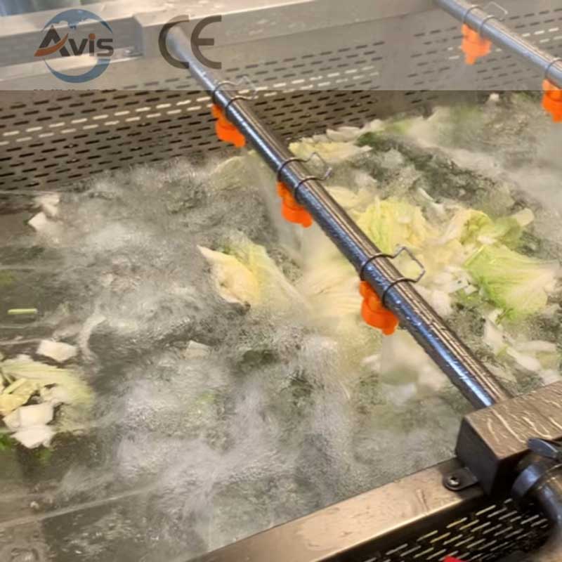 Fruit And Vegetable Bubble Cleaning Machine, Ozone Bubble Cleaning Machine