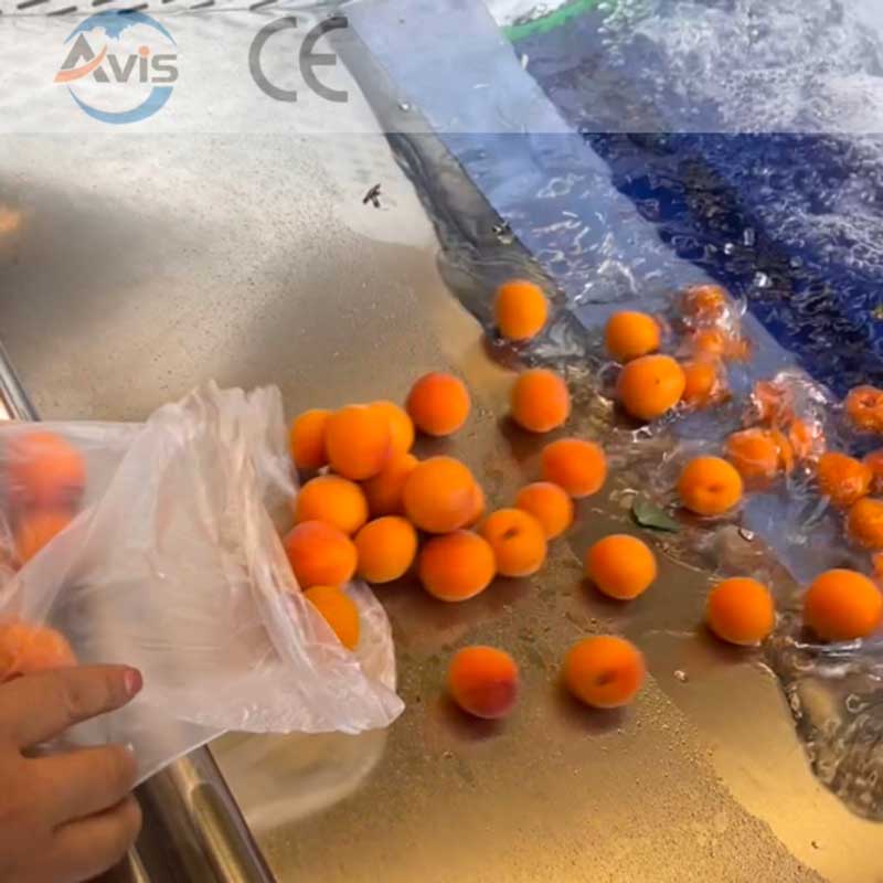Fruit And Vegetable Bubble Cleaning Machine, Ozone Bubble Cleaning Machine