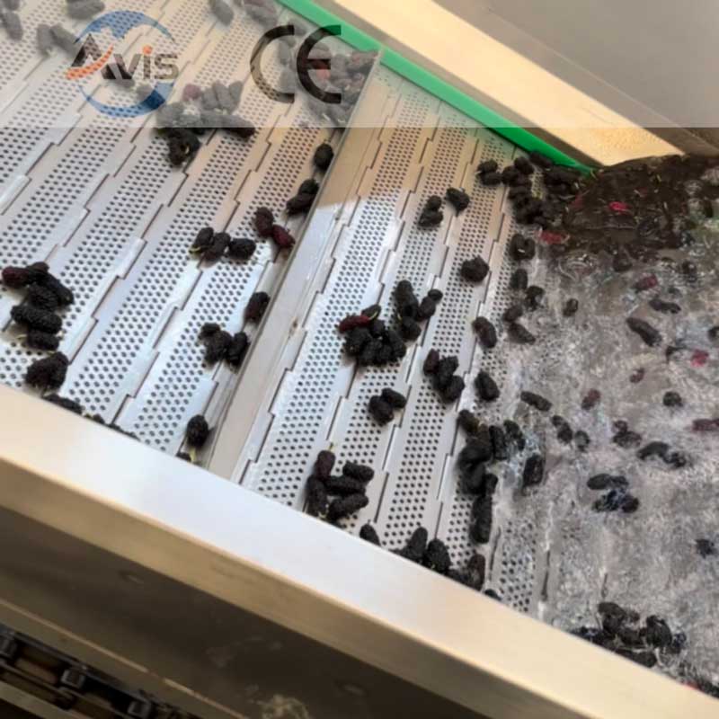 Fruit And Vegetable Bubble Cleaning Machine, Ozone Bubble Cleaning Machine