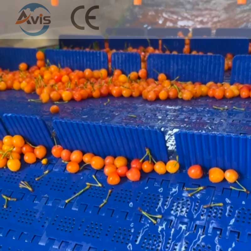 Fruit And Vegetable Bubble Cleaning Machine, Ozone Bubble Cleaning Machine
