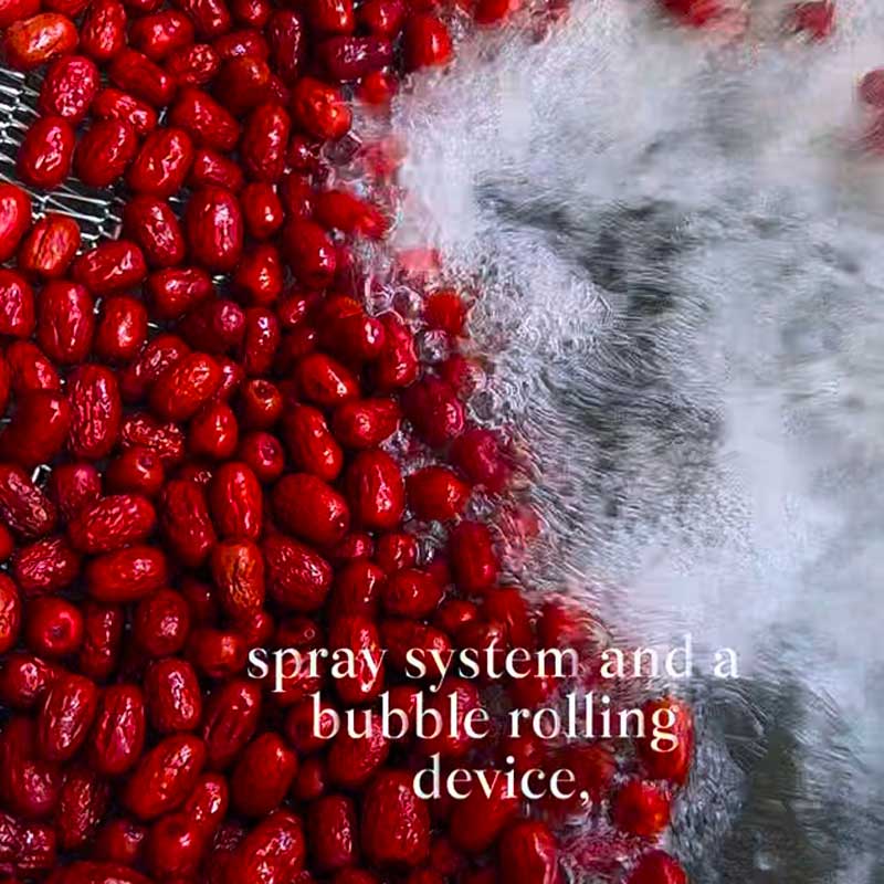 Fruit And Vegetable Bubble Cleaning Machine, Ozone Bubble Cleaning Machine