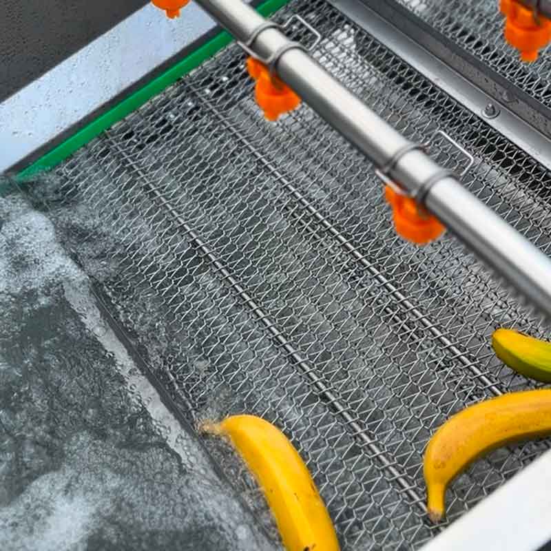 Fruit And Vegetable Bubble Cleaning Machine, Ozone Bubble Cleaning Machine