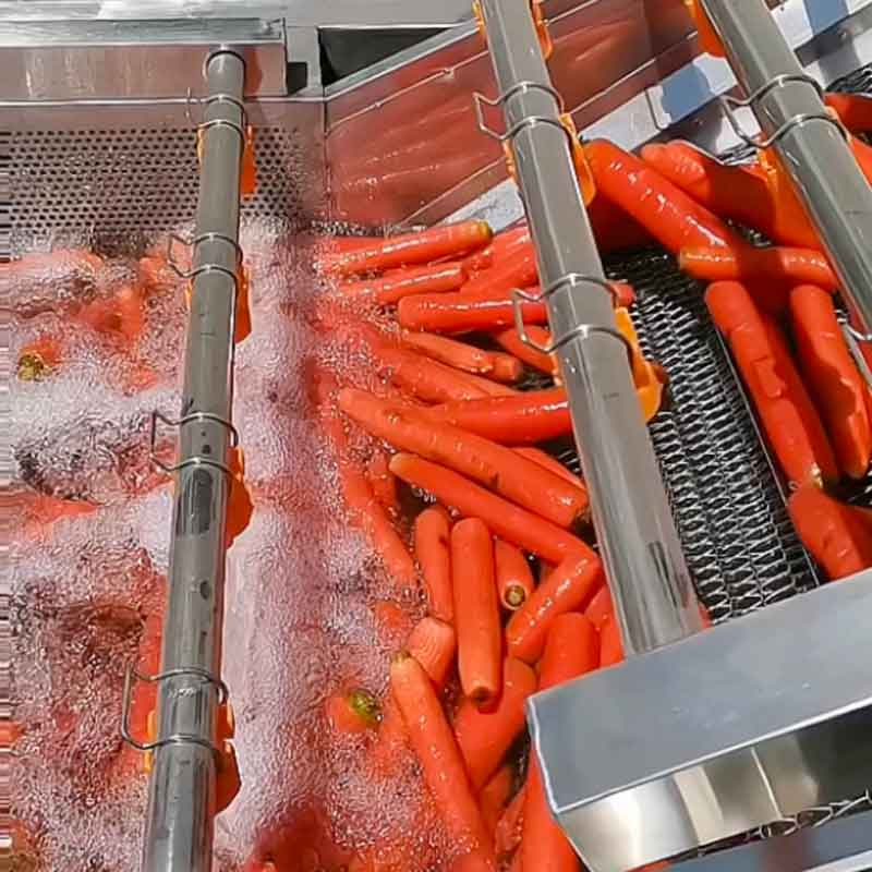 Fruit And Vegetable Bubble Cleaning Machine, Ozone Bubble Cleaning Machine