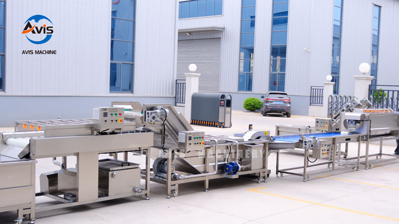 Fully Automatic French Fries Production Line Potato Chips Processing Machine Frozen Fries Making Plant Industrial Potato Processing Equipment for Export Italy Europe