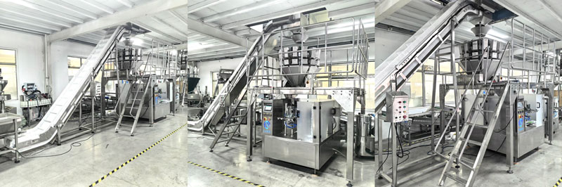 Snacks, Cereals, Rice, Nuts Pouch Packaging Machine/Potato Chips,Cereals, Rice, Pouch Filling Equipment