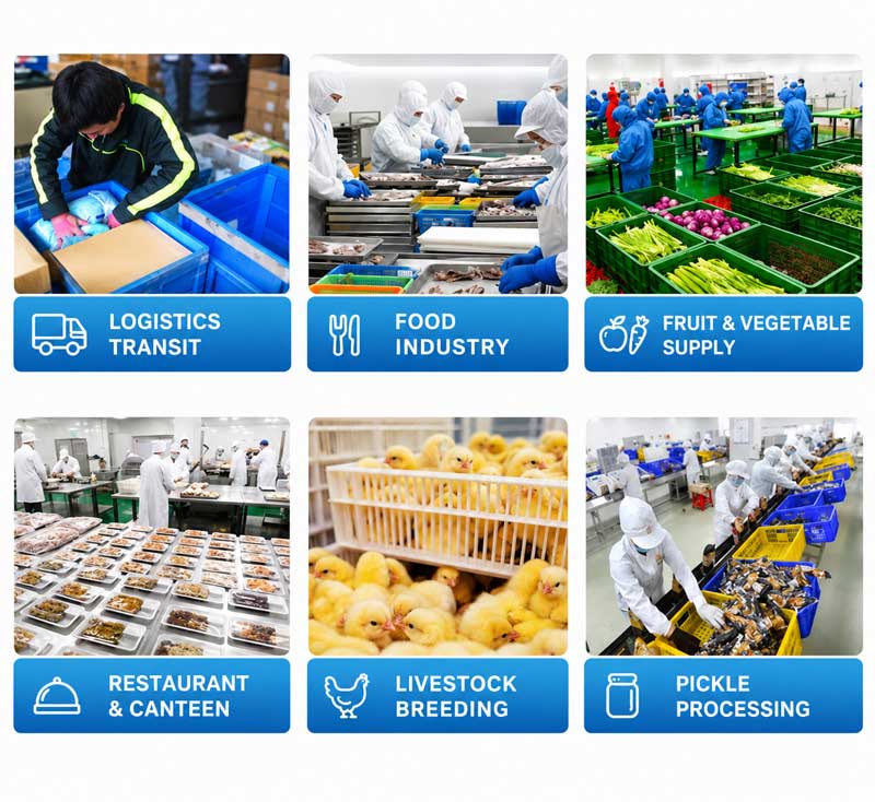 Crate Washing Machine | Industrial Plastic Basket Washing Machine Manufacturer