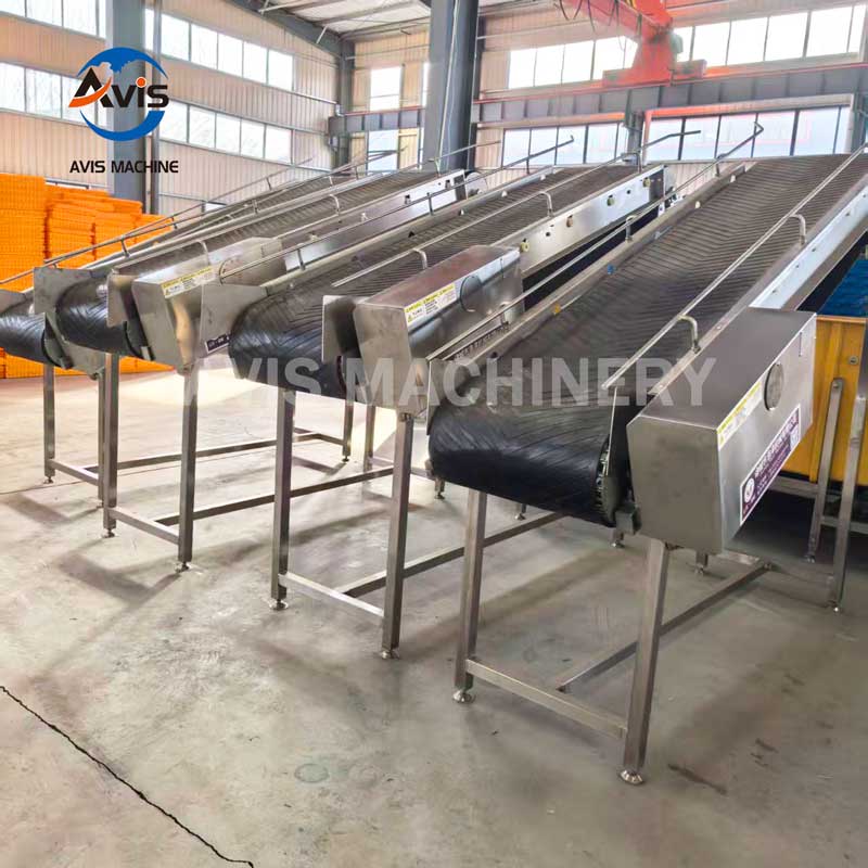 Poultry Slaughter Line | Duck Slaughtering and Processing Machine