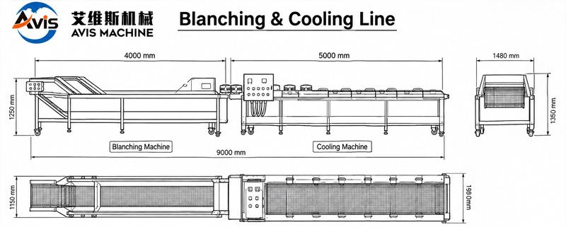 Water Bath Cooking Steamer Blanching & Cooling Production Line For Vegetables,Meat & Seafood Processing
