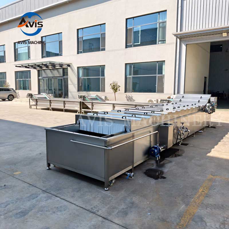 Continuous Steam Blanching Machine