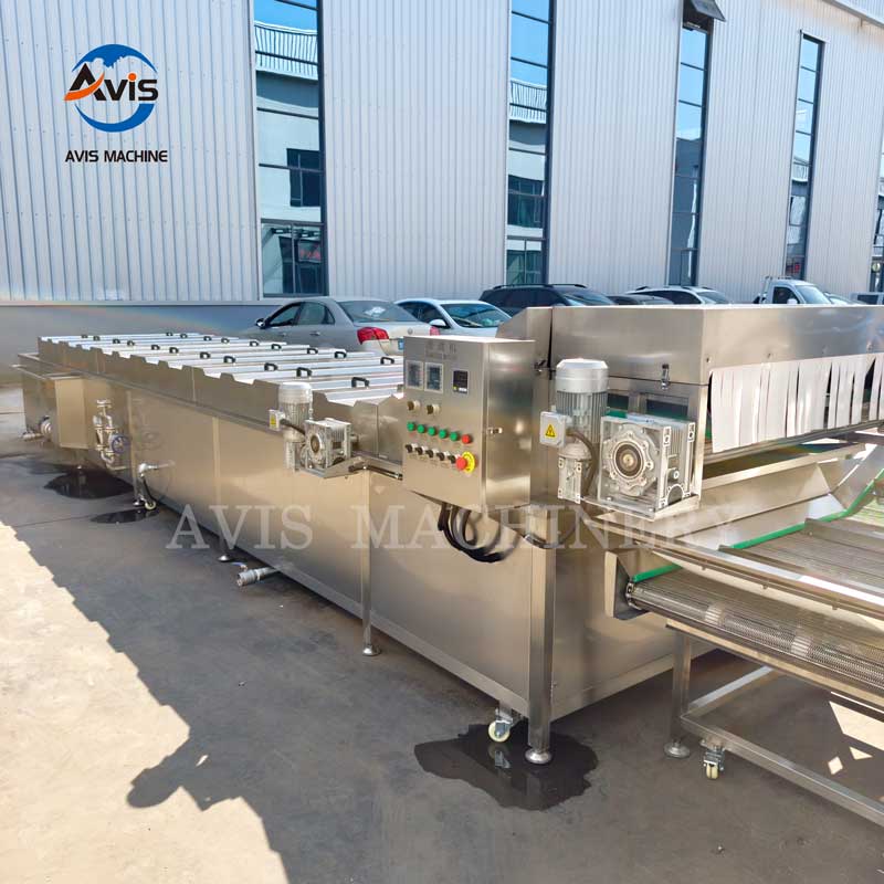 Food blanching Equipment Manufacturer