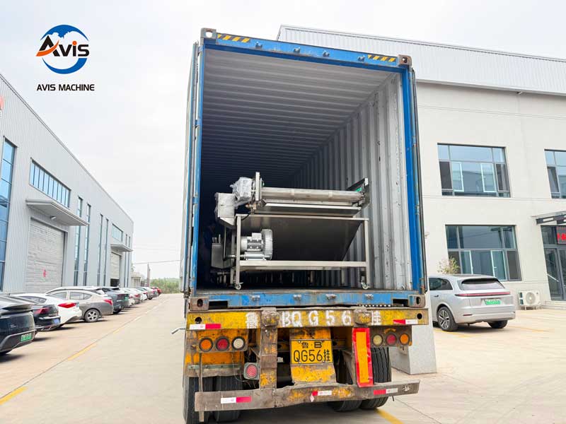 Vegetable blanching machine