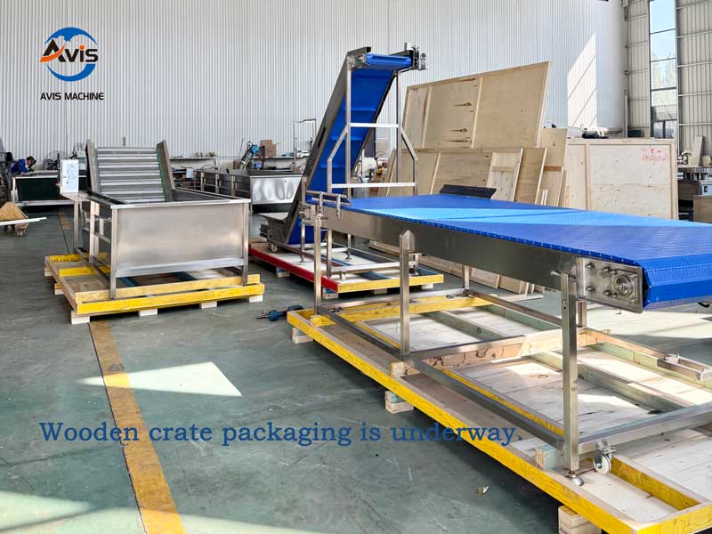 Vegetable processing machines prepared for overseas shipment