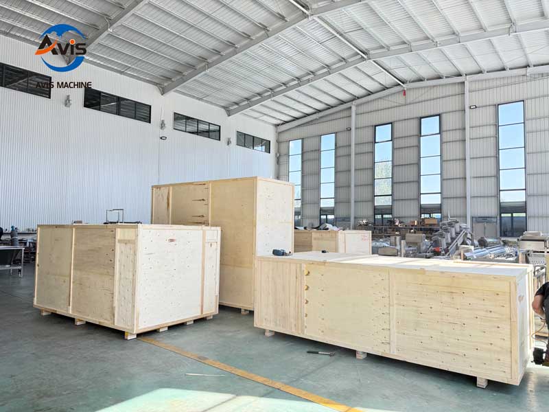 Fruit and vegetable processing line factory export packaging